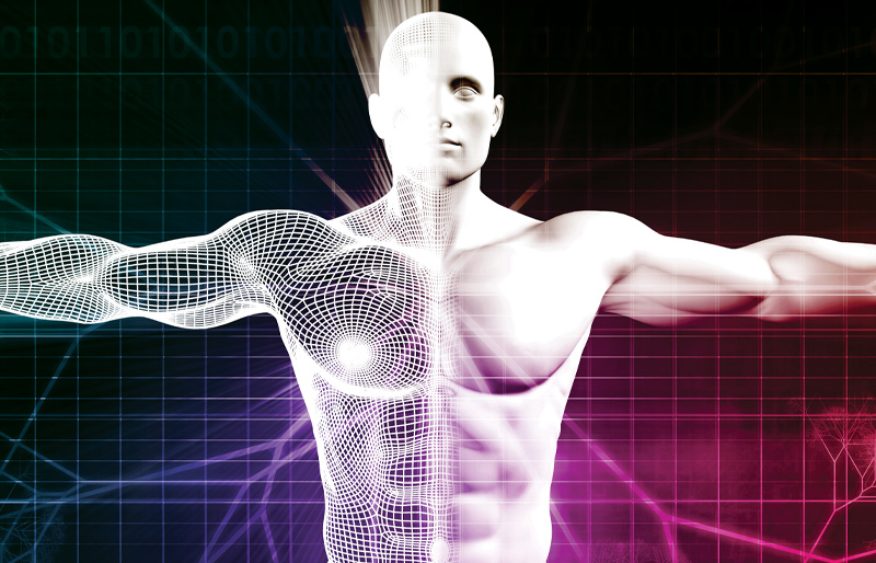 digital rendering of a human being