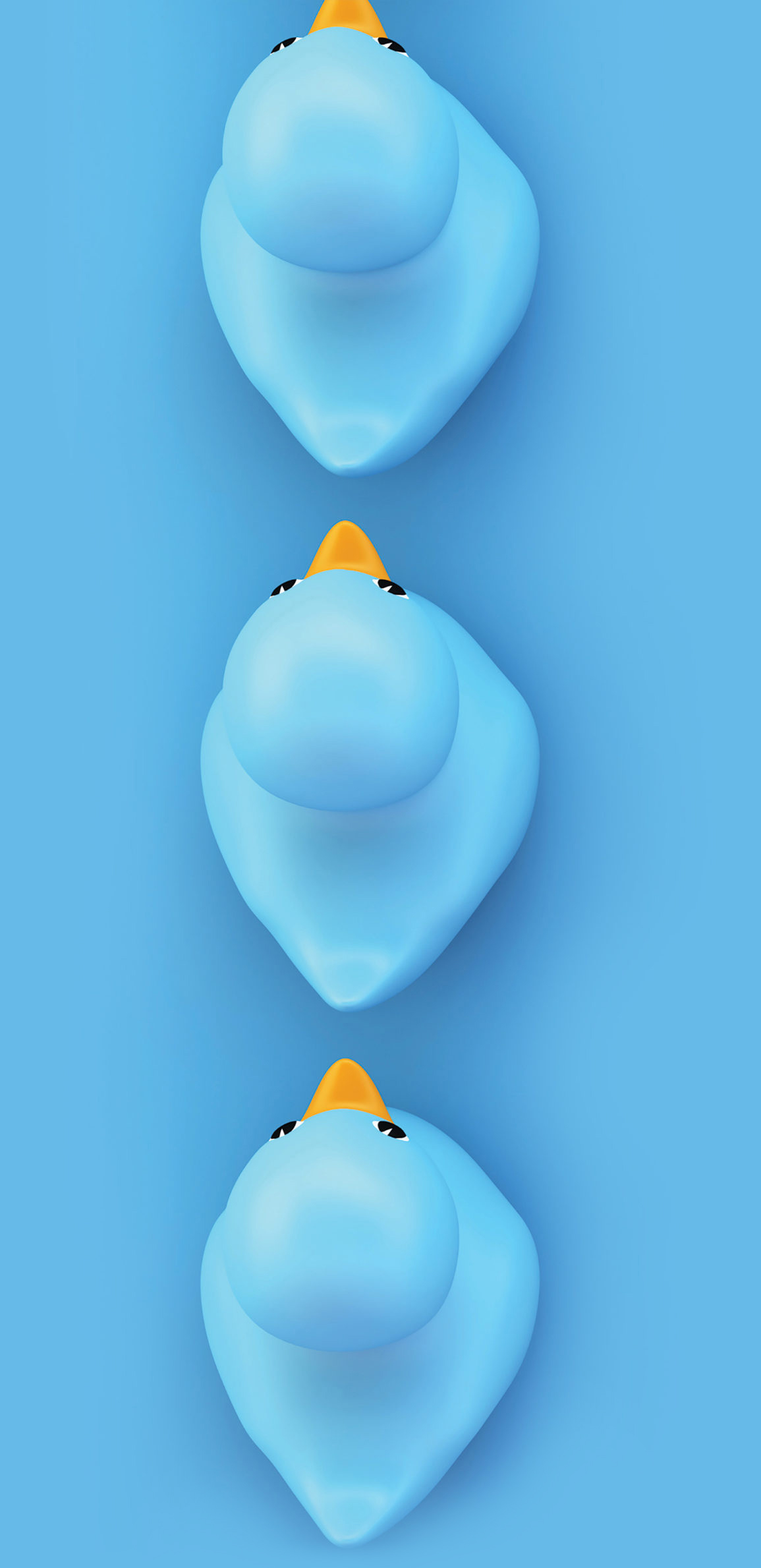 Blue rubber ducks in a row